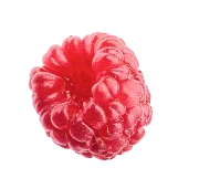 Raspberry